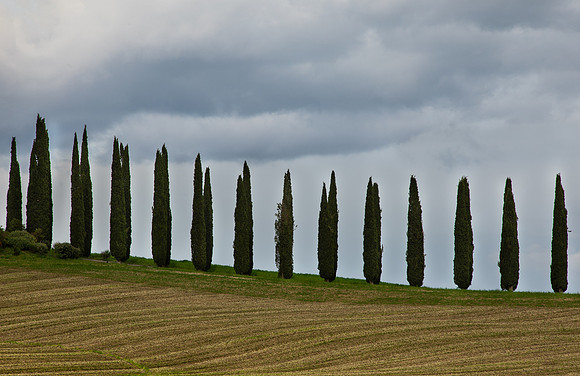 Clouds and Cypresses