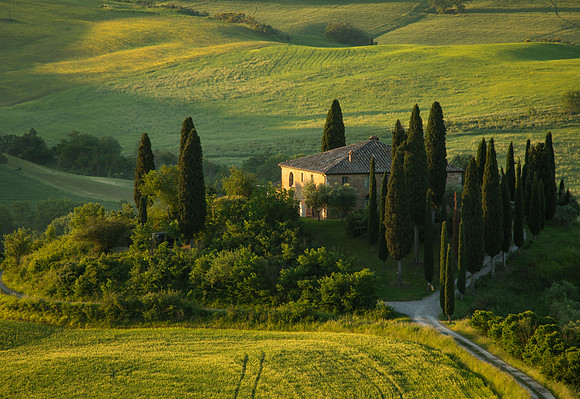 Belvedere at Sunrise