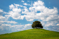 Solitude