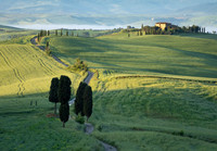 Early Light at Terrapille