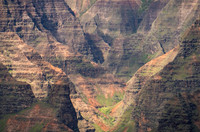 Waimea Colors